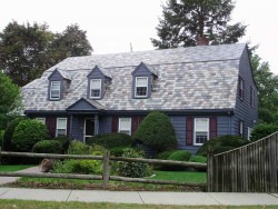 24 Windsor Rd, Newton, MA 02468-1505
