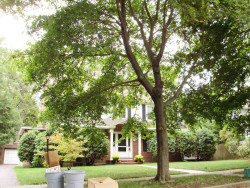 114 Windermere Rd, Newton, MA 02466-2718