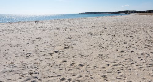 249 Ridgevale Rd, Chatham MA 02633-1074 exterior