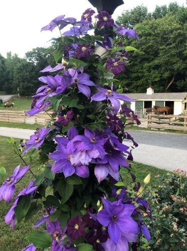 16 Pierce Rd, Sutton MA 01590-2909 exterior