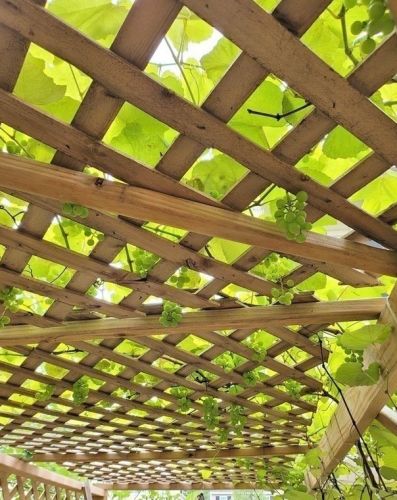 38 Vinton St, Worcester MA  01605-3343 exterior