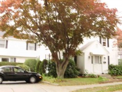 20 Beecher Pl, Newton, MA 02459-2313
