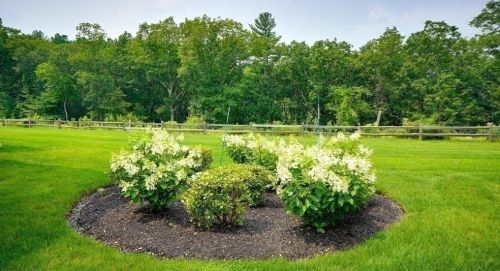 49 Pinetree Dr, Methuen MA 01844-1268 exterior