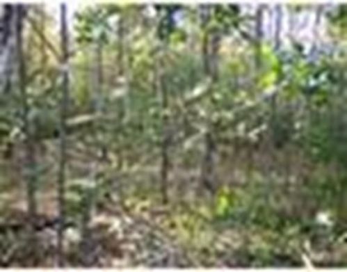 6 Ashburnham Rd, Winchendon MA  01475 exterior