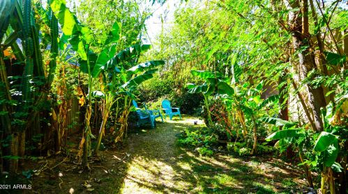 3323 40 St, Phoenix AZ 85040-2918 exterior