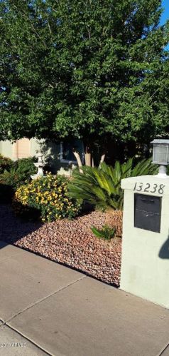 13238 35th St, Phoenix, AZ 85032-6110
