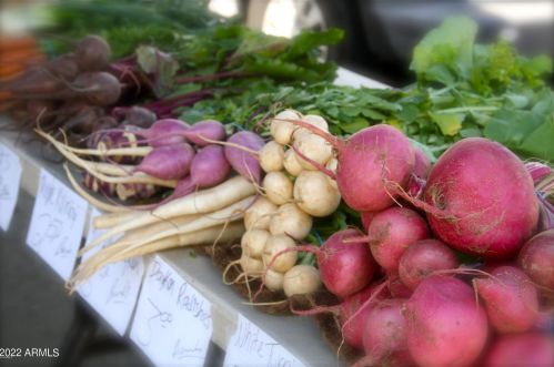 13036 46 St, Phoenix AZ 85044-4019 exterior