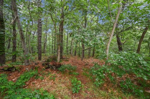 46 Bow Rd, Eastham MA 02642-1877 exterior