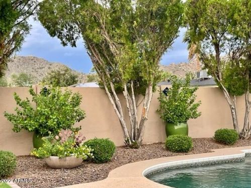 13026 30 St, Phoenix AZ 85032-6515 exterior