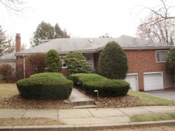 73 Broken Tree Rd, Newton, MA 02459-3416