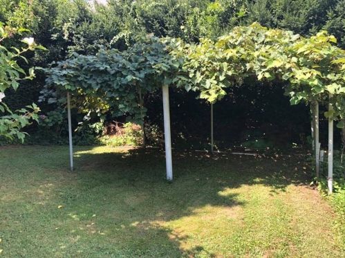 480 Belmont St, Fall River MA 02720-3801 exterior