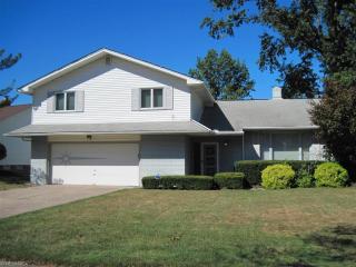 1981 Aldersgate Dr, Cleveland, OH 44124-3859