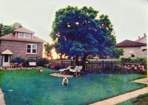 2523 Home Ave, Forest View IL 60402-2124 exterior