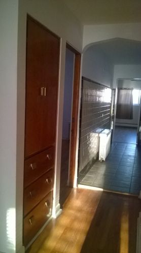 1845 Grv Ave, Forest View IL 60402-1747 exterior