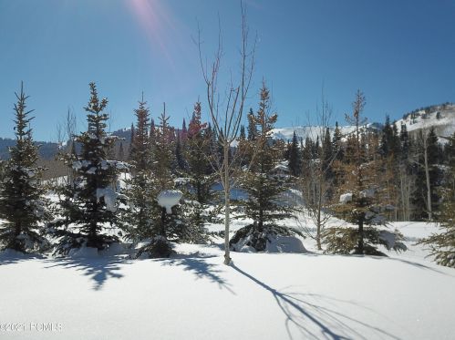 229 White Pne Cyn Rd, Park City UT 84060-6506 exterior