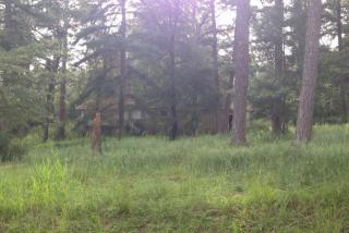 920 Ivawood Rd, Birmingham, AL 35210-4215