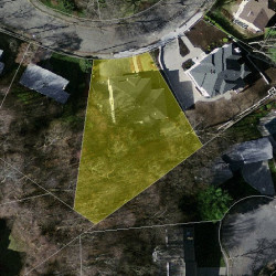 20 Cottonwood Rd, Newton MA  02459-3112 aerial view