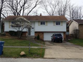 6832 Lynett Dr, Cleveland OH  44129-5406 exterior