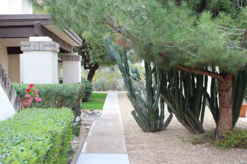 706 Eugie Ave, Phoenix AZ  85022-4837 exterior