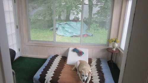 65 Fuller Ter, Newton MA 02465-1205 exterior