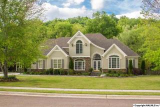 308 Broad Armstrong Dr, Brownsboro, AL 35741-9100