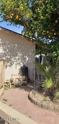 3615 Cholla St, Phoenix AZ 85029-3817 exterior