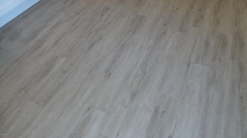 8805 Cambridge Ave, Phoenix AZ 85008-1215 exterior