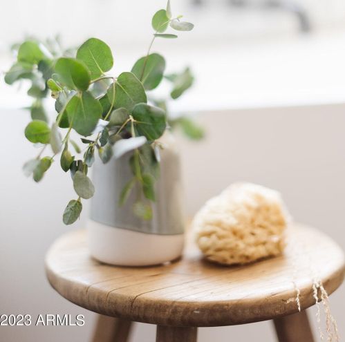 4225 34th Pl, Phoenix AZ  85018-4737 exterior