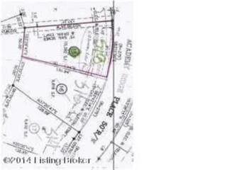 518 Academy Ridge Pl, Louisville KY  40245-4996 exterior