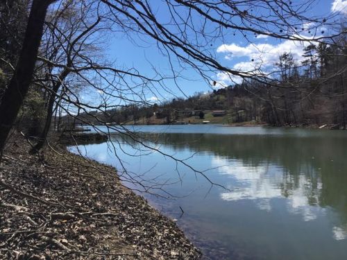 4 Alder Springs Rd, La Follette TN  37766 exterior