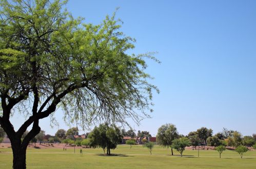 17017 12th St, Phoenix AZ  85022-2026 exterior
