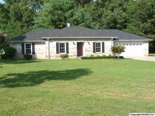 197 Frances Amelia Dr, Huntsville, AL 35811-2515