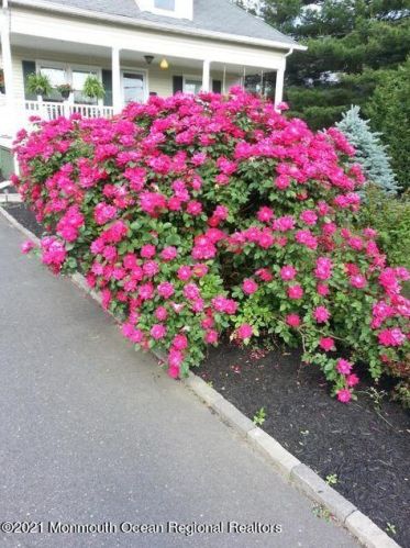 670 Branch Ave, Little Silver NJ  07739-1216 exterior