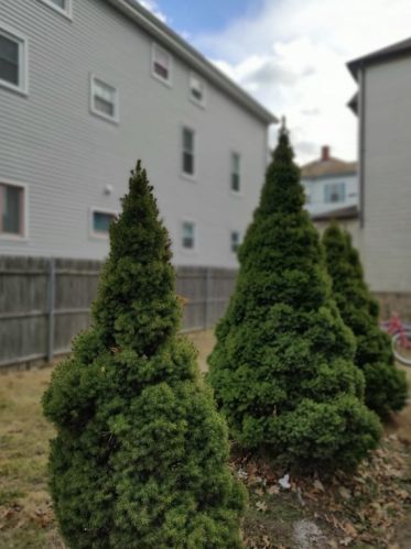 53 Almy St, Fall River MA 02720-2711 exterior