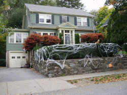 243 Jackson St, Newton, MA 02459-2523