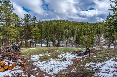 27132 Log Trl, Conifer CO  80433-7222 exterior