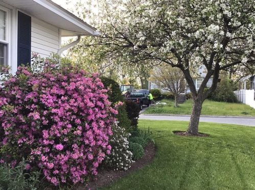 136 Randall St, Worcester MA 01606-2039 exterior