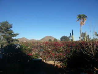 13006 19th Way, Phoenix, AZ 85022-5017