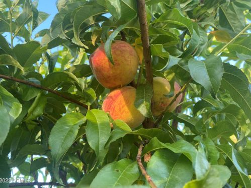 2145 Clarendon Ave, Phoenix AZ 85031-3142 exterior