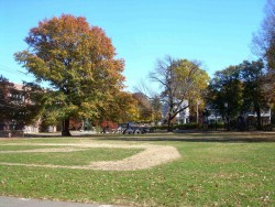 129 Church St, Newton, MA 02458-2003