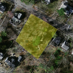 142 Elgin St, Newton MA  02459-2302 aerial view