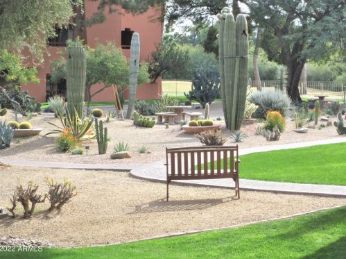 4303 Cactus Rd, Phoenix AZ 85032-7637 exterior