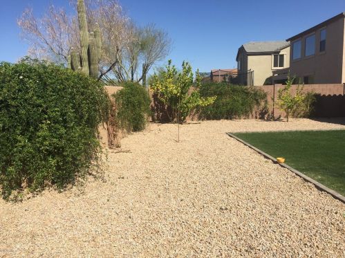 23130 40th Pl, Phoenix AZ  85050-8745 exterior