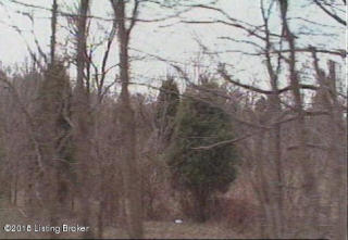 308 Johnson Rd, Louisville, KY 40245-4502