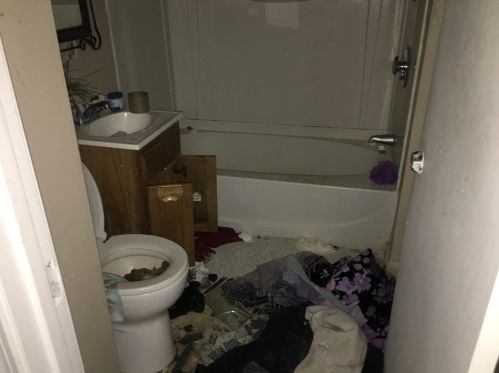 11 Daisy St, Lawrence MA 01841-3035 exterior