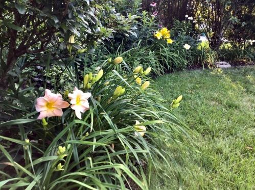 136 Randall St, Worcester MA 01606-2039 exterior