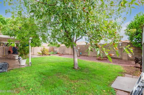 4015 Bloomfield Rd, Phoenix AZ 85029-2953 exterior