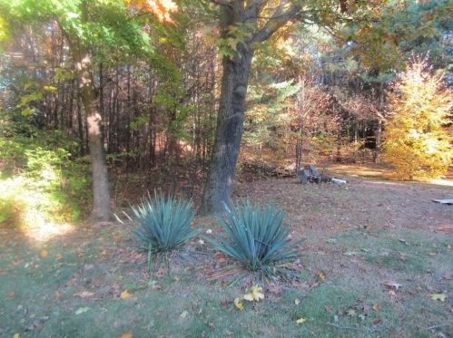 71 Glenallen St, Winchendon MA 01475-2203 exterior