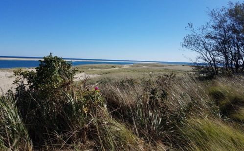 65 Morris Is Rd, Chatham MA 02633-2526 exterior