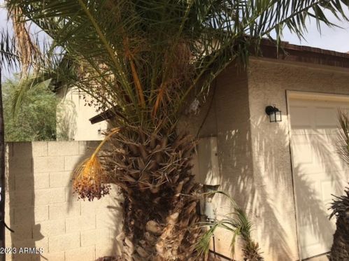 3724 Carol Ann Way, Phoenix AZ  85053-3739 exterior